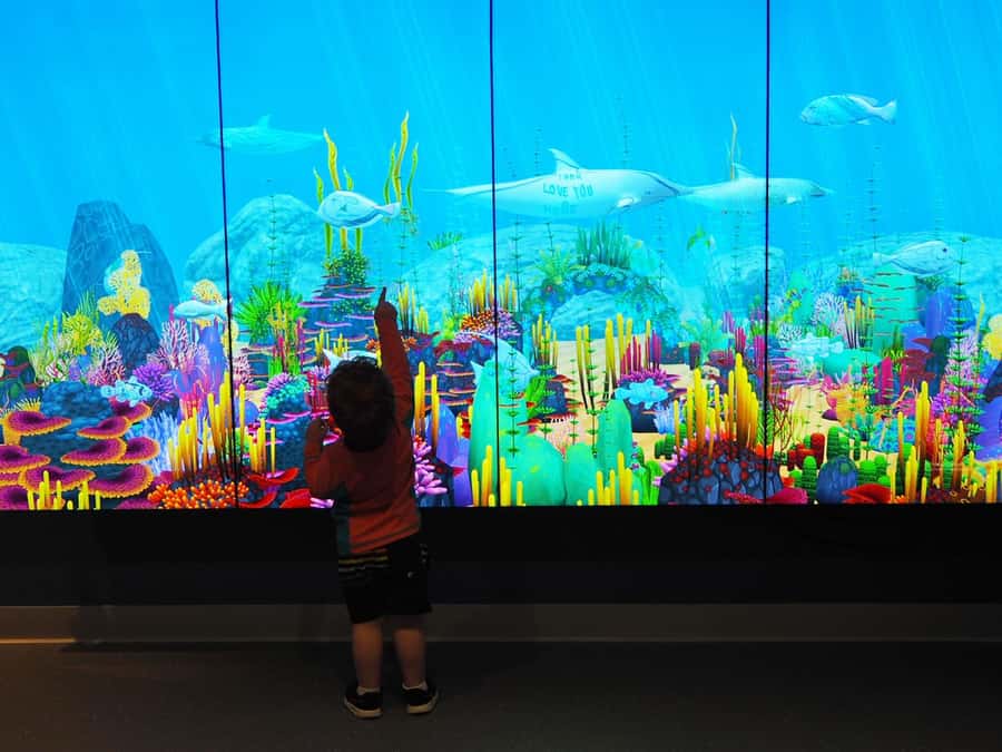Marine Discovery Centre - Key things that make Marine Discovery Centre worth your time