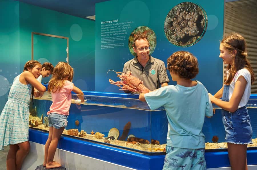 Marine Discovery Centre - Getting oriented: what your day at Dolphin Discovery Centre feels like