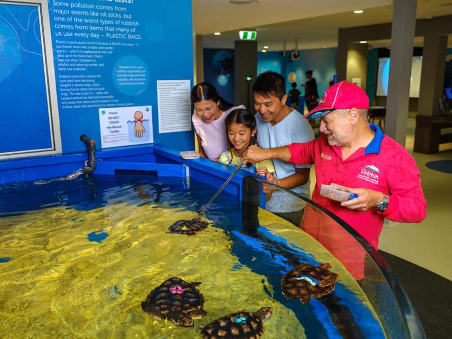 Marine Discovery Centre - Price and value: why $16 can still feel like a full day
