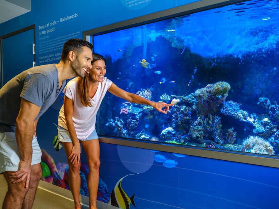 Marine Discovery Centre - Who should book this centre (and who might pass)