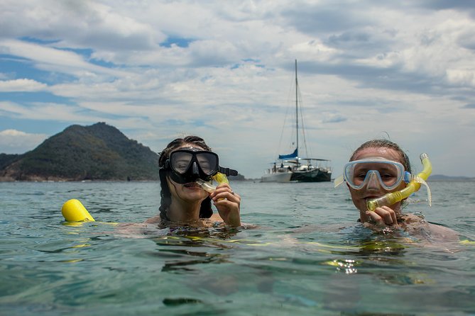 Marine Discovery + Snorkeling Cruise - Port Stephens - Key highlights you’ll feel on the day