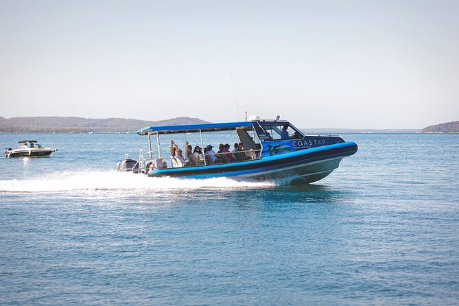 Marine Discovery + Snorkeling Cruise - Port Stephens - Price and value: is $71.72 a good deal for this kind of day?