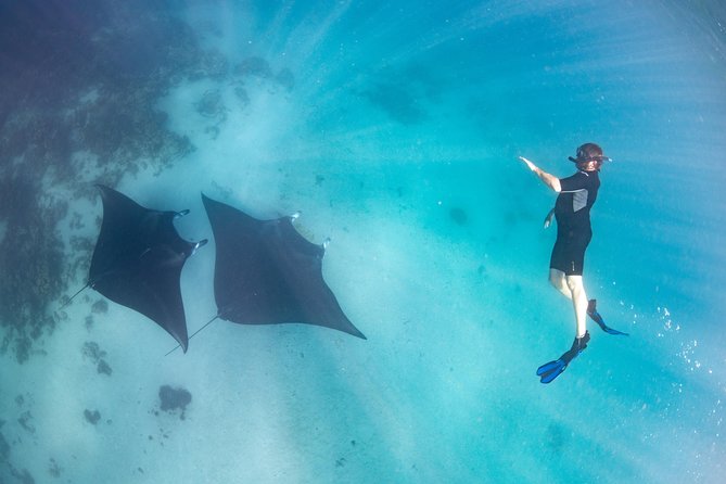 Marine Eco Safari - Swim with Manta Rays - Morning at Coral Bay EcoTours: how the day starts smoothly