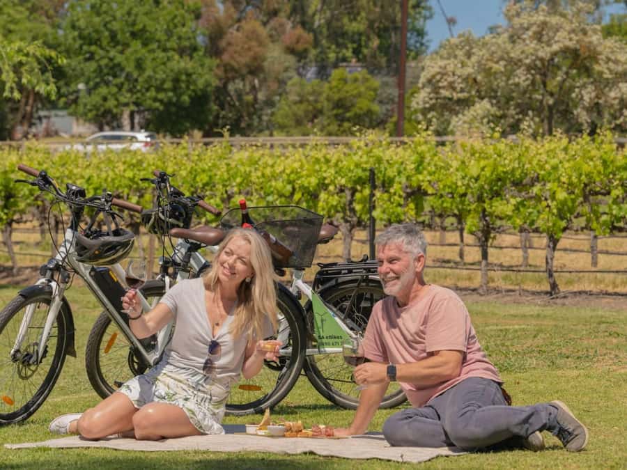McLaren Vale: E-Bike Rental to Explore the Vineyards - McLaren Vale by E-Bike: Why This Works Better Than a Car Day