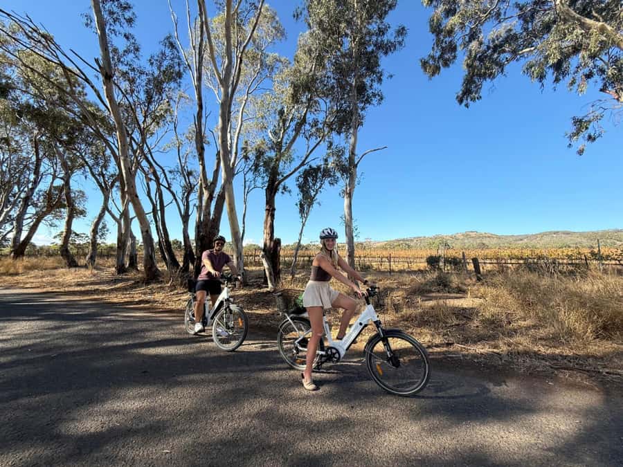 McLaren Vale: E-Bike Rental to Explore the Vineyards - What You Get for $63: Value That’s Mostly About Time and Stress