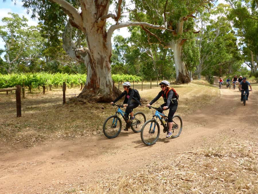Mclaren Vale Hills Vines and Wines Bike Tour from Adelaide - Timing, meeting point, and planning your day in Adelaide