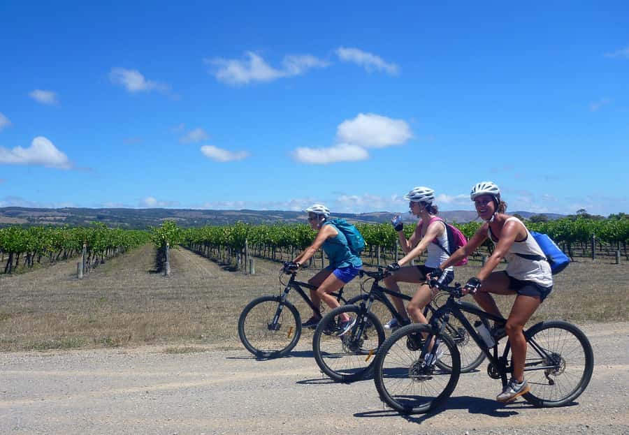 Mclaren Vale Hills Vines and Wines Bike Tour from Adelaide - From Adelaide to Kuitpo Forest: the ride begins above the vineyards