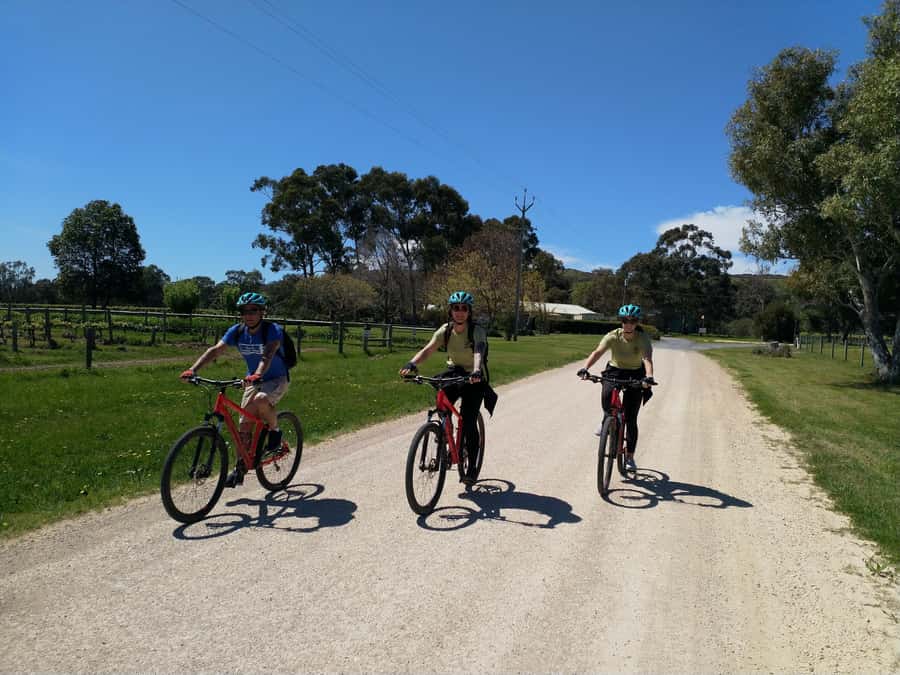 Mclaren Vale Hills Vines and Wines Bike Tour from Adelaide - Willunga Hill down into the Vale: where the day really starts moving