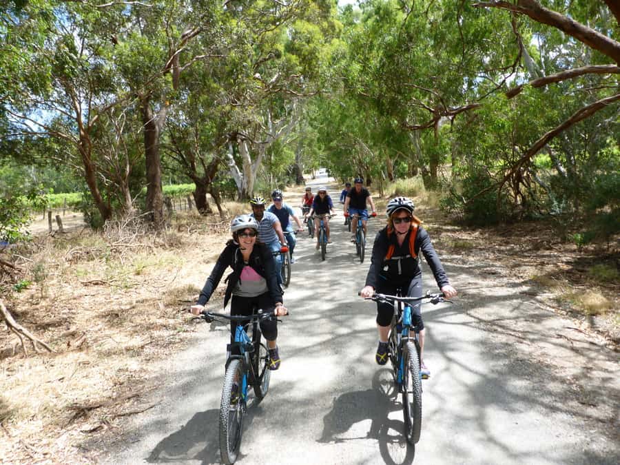 Mclaren Vale Hills Vines and Wines Bike Tour from Adelaide - Vineyard riding and winery stops: how the tastings work with your pace