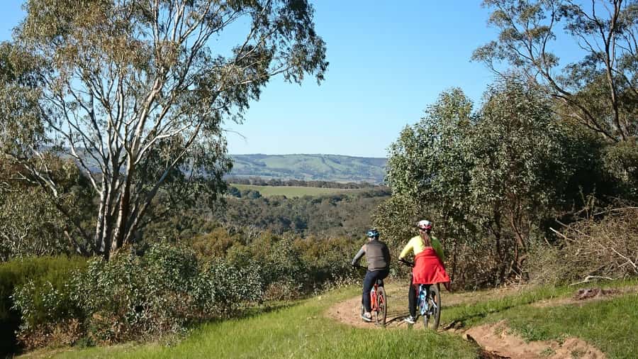 Mclaren Vale Hills Vines and Wines Bike Tour from Adelaide - Lunch: the local produce platter that keeps the day honest