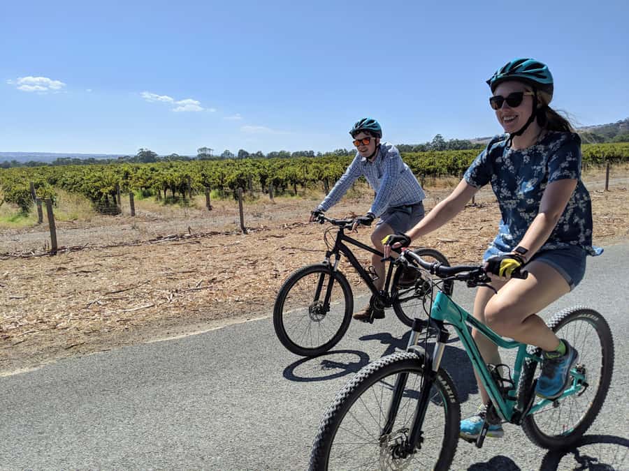Mclaren Vale Hills Vines and Wines Bike Tour from Adelaide - The afternoon choices: micro-brewery, chocolate, or even a swim