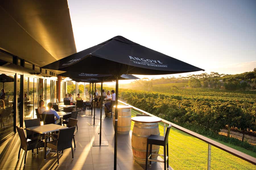 McLaren Vale North: Hop-On Hop-Off Tour - Key highlights worth getting excited about