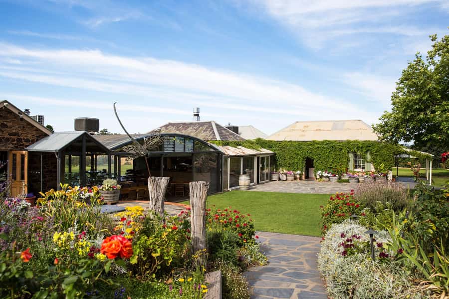McLaren Vale North: Hop-On Hop-Off Tour - The Fleurieu Coast factor: why the drive isn’t just a commute