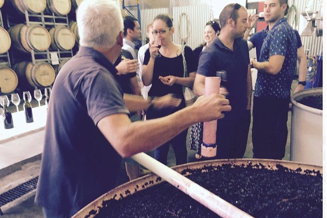 McLaren Vale Private Wine Tour - Pickup and transfers that actually fit your day