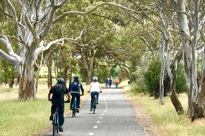 McLaren Vale Shiraz Trail Cycling Tour from Adelaide - Price and value: what $128.39 buys in the real world