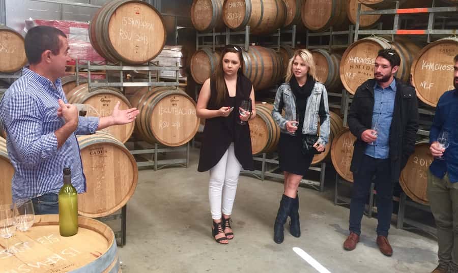 McLaren Vale: Small Group Wine Tour (Includes Lunch) - How personalization actually works (and why it matters in wine country)