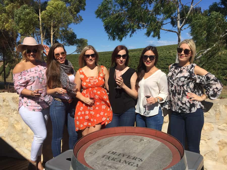 McLaren Vale: Small Group Wine Tour (Includes Lunch) - The money part: what $138 covers, and what tasting fees add