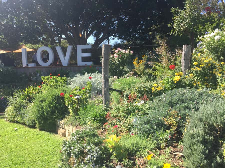 McLaren Vale: Small Group Wine Tour (Includes Lunch) - Weather-proof touring and comfort tips for a full day
