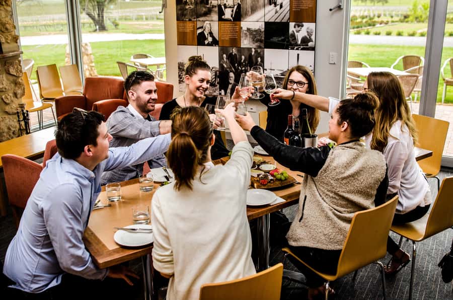 McLaren Vale: Small Group Wine Tour (Includes Lunch) - How the day flows: 4–5 cellar doors, lunch platter, then gin or brewery