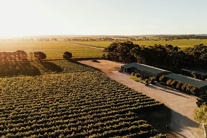 McLaren Vale South Hop-On Hop-Off Winery Tour - Key Highlights You’ll Care About