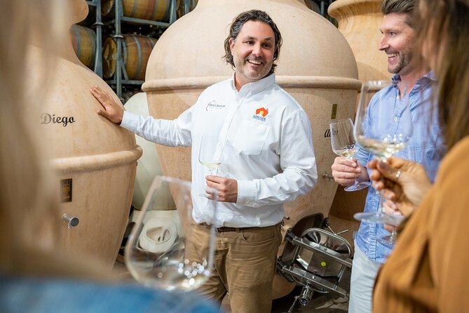 McLaren Vale Wine-Lover - Luxury Full Day Private Tour - A luxury private day in McLaren Vale from Adelaide