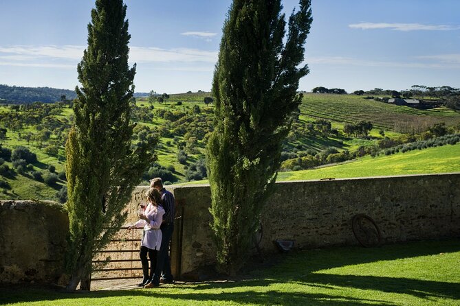 McLaren Vale Wine-Lover - Luxury Full Day Private Tour - What a “wine-people” guide does for you