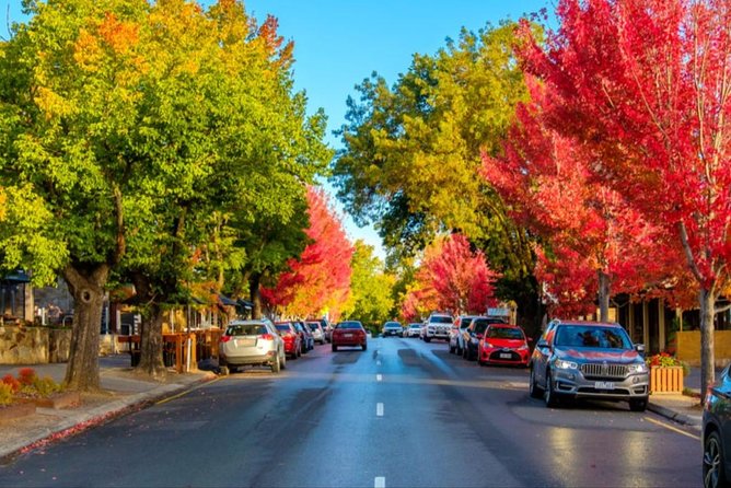 McLaren Vale Wine Region via Hahndorf Full-Day Tour from Adelaide - Price and value: what your $157.08 covers, and what to budget extra