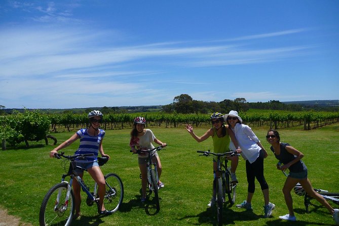 McLaren Vale Wine Tour by Bike - Two Wine Stops in McLaren Vale: Tastings That Actually Fit the Day