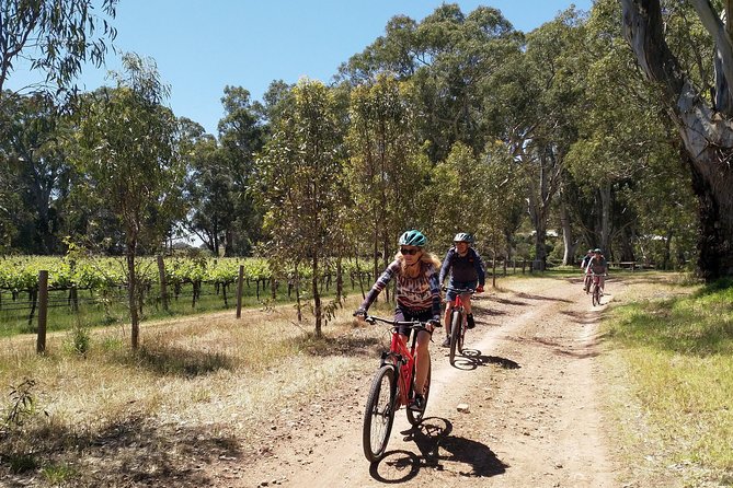 McLaren Vale Wine Tour by Bike - Lunch Built From Local Produce, Not Airport Food Energy