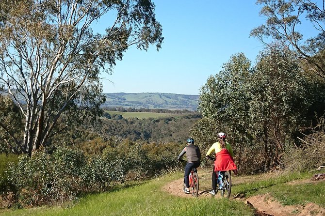 McLaren Vale Wine Tour by Bike - Bikes, Helmets, and the Reality of a Full-Day Ride