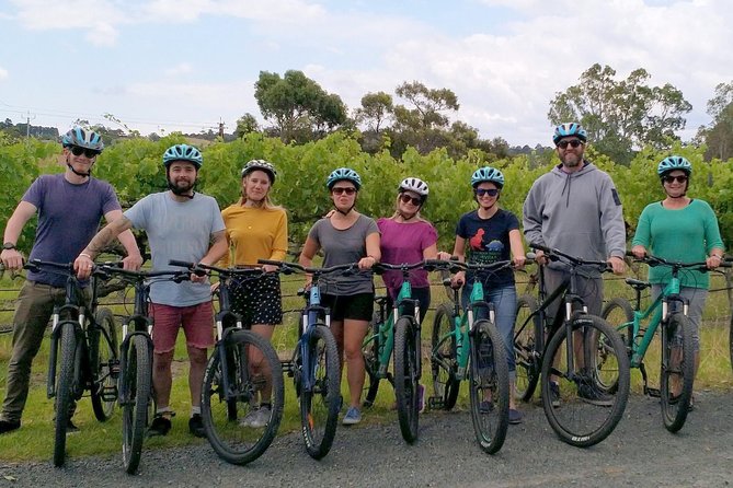 McLaren Vale Wine Tour by Bike - Price and Value for a Small-Group Adelaide Day Trip