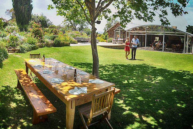 McLaren Vale Winery Small Group Tour with Wine Tasting and Lunch - Key things that make this McLaren Vale tour work