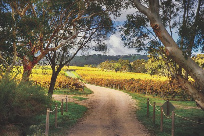 McLaren Vale Winery Small Group Tour with Wine Tasting and Lunch - Getting picked up: the practical advantage of a smooth start