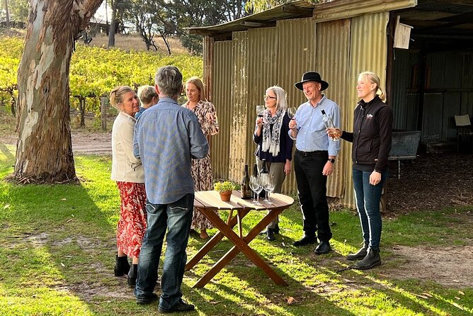 McLaren Vale Winery Small Group Tour with Wine Tasting and Lunch - Lunch at the winery: regional platter plus a glass of wine