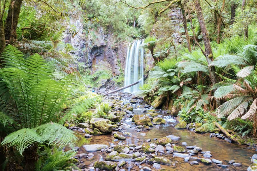 Melbourne: 12 Apostles, Otways & Great Ocean Road Day Tour - Key things I think you’ll care about most
