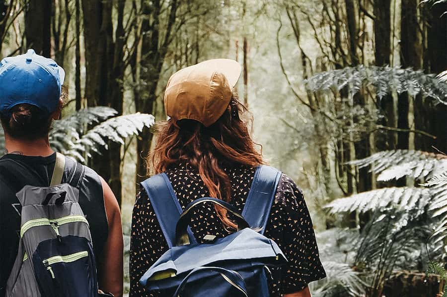 Melbourne: 12 Apostles, Otways & Great Ocean Road Day Tour - St. Kilda Road meetup and how the 12 hours actually feel