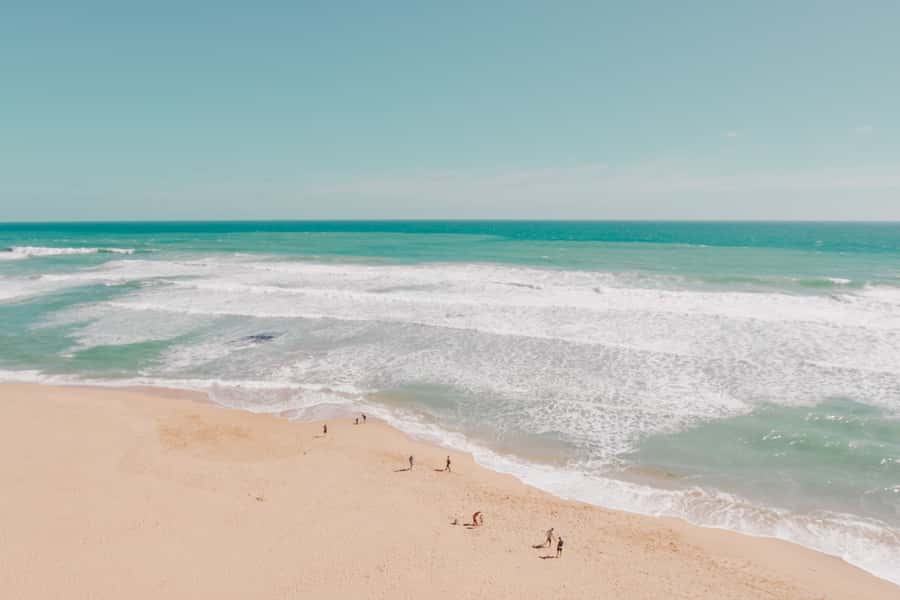 Melbourne: 12 Apostles, Otways & Great Ocean Road Day Tour - Food and value: what $155 covers (and what it doesn’t)