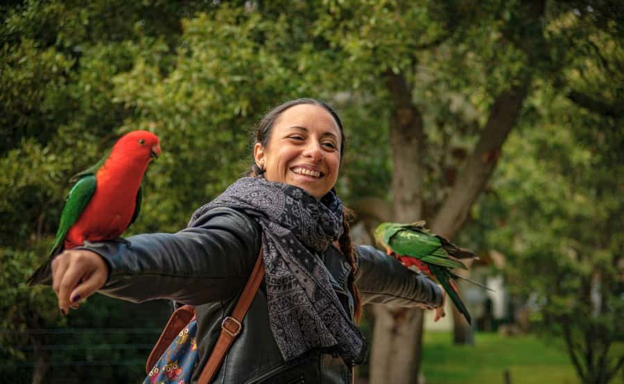 Melbourne: 12 Apostles Sunset Tour - Less Crowds - Price and Value: Is $112 Worth It?