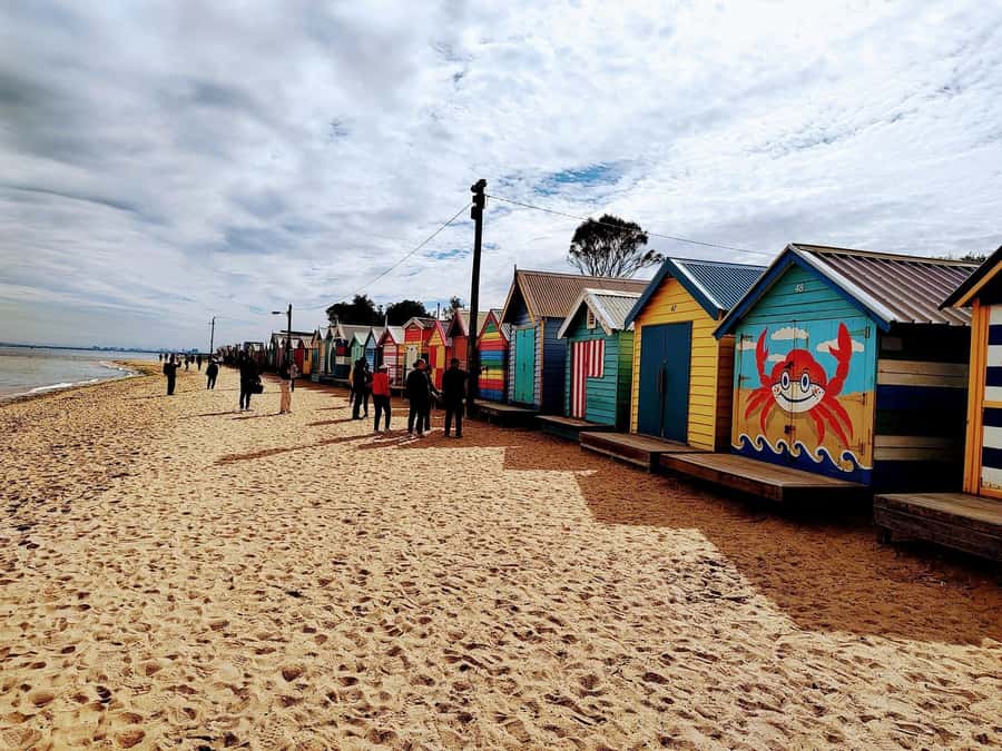 Melbourne 3-Hour Small Group Tour with Beach Boxes - Collins Street, Docklands, and Queen Vic Market: Big City Hits Without the Hassle