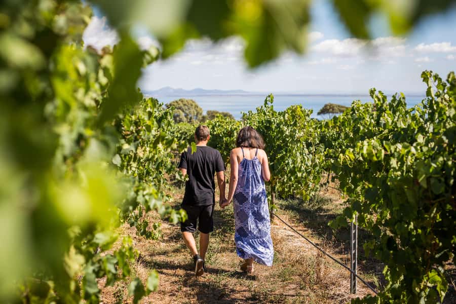 Melbourne: Around the Bay Food & Wine Taste Trail - Jack Rabbit Café lunch plus Devonshire tea on the bay