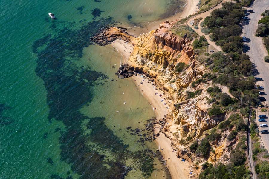 Melbourne: Brighton Beach & Ricketts Point Helicopter Flight - Key highlights I’d plan around