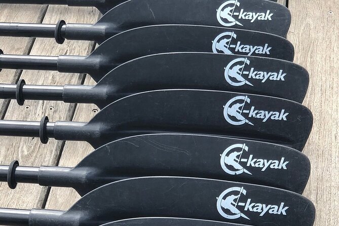 Melbourne City Sights Kayak Tour - Gear, water, and what to bring (so you don’t regret it later)