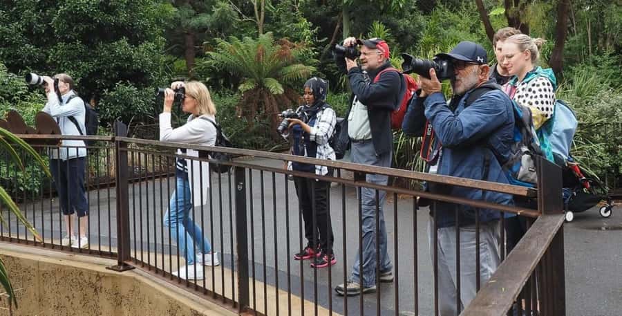 Melbourne City Surrounding Sightseeing Tour - Crown Casino and Entertainment Complex: One Last City Pulse