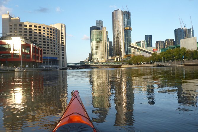Melbourne City Twilight Kayak Tour - Upstream route: Royal Botanic Gardens, MCG, and Herring Island sculptures