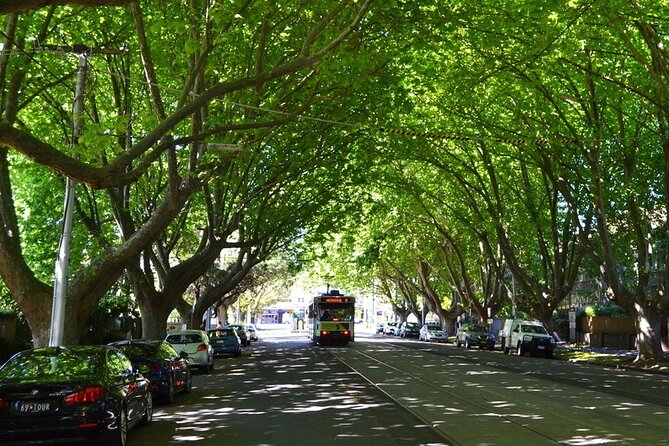Melbourne Drive by Day - Private Tour - Guide Moments, Comfort, and Who Should Skip This One