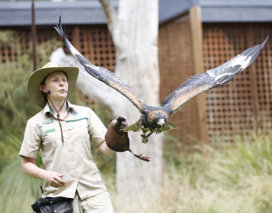 Melbourne: Flexi Pass - Pick 3, 5 or 7 Experiences - Family-friendly picks: SEA LIFE, LEGOLAND, Monopoly Dreams, and Scienceworks