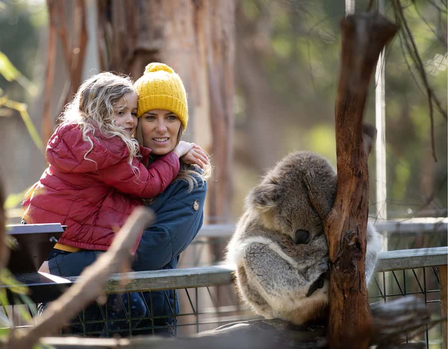 Melbourne: Flexi Pass - Pick 3, 5 or 7 Experiences - What a smart 5-day Melbourne plan looks like (example combinations)