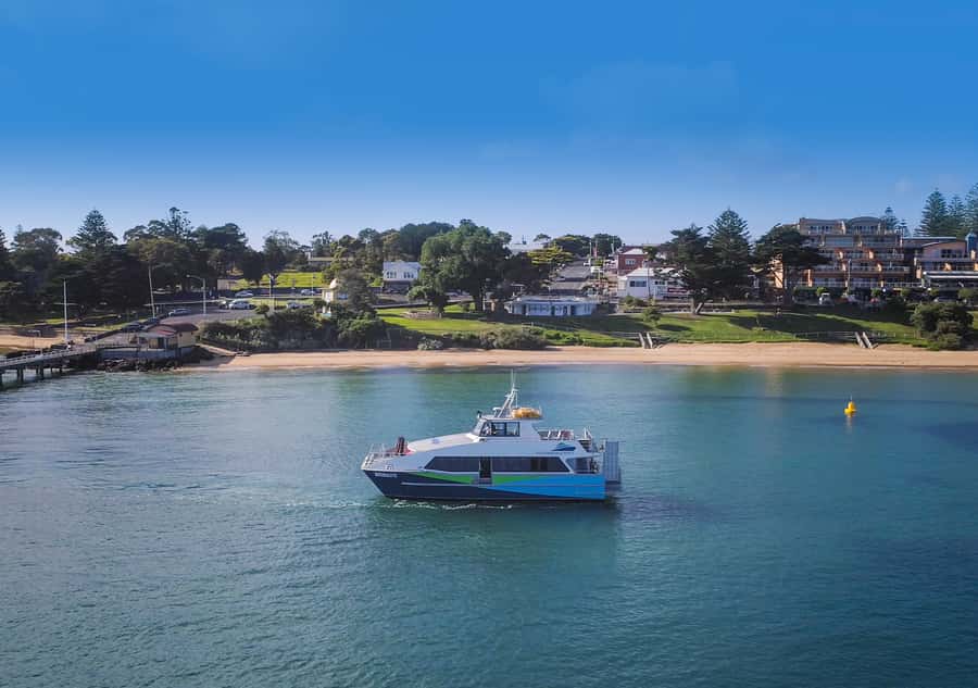 Melbourne: French and Phillip Island Wildlife Expedition - French and Phillip Island: Why This Combo Works So Well