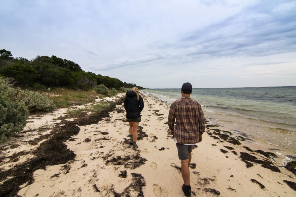 Melbourne: French and Phillip Island Wildlife Expedition - Wildlife Spotting With Real Commentary: Koalas and More Without the Guesswork