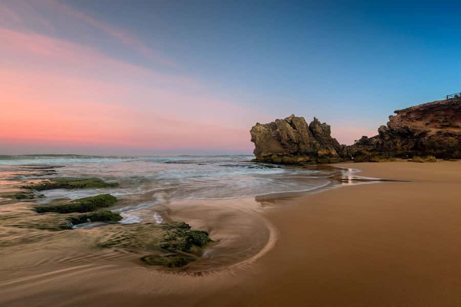Melbourne: Great Ocean Road Day Tour with kangaroos & koalas - Kangaroo spotting at Anglesea Golf Resort: best odds, not a guarantee